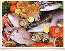 12月・2024年1月のイベント